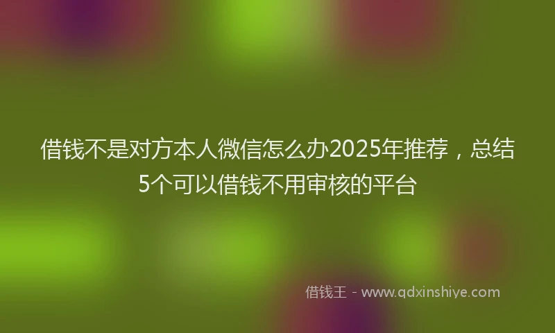 借钱不是对方本人微信怎么办2025年推荐，总结5个可以借钱不用审核的平台