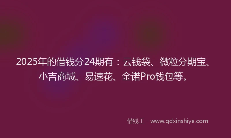2025年的借钱分24期有：云钱袋、微粒分期宝、小吉商城、易速花、金诺Pro钱包等。