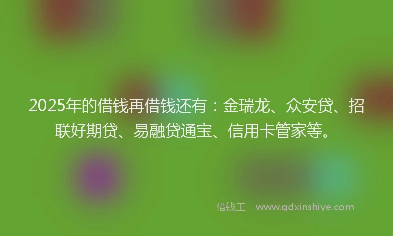 2025年的借钱再借钱还有：金瑞龙、众安贷、招联好期贷、易融贷通宝、信用卡管家等。