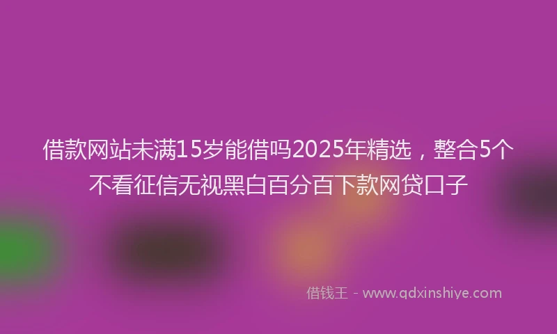 借款网站未满15岁能借吗2025年精选，整合5个不看征信无视黑白百分百下款网贷口子