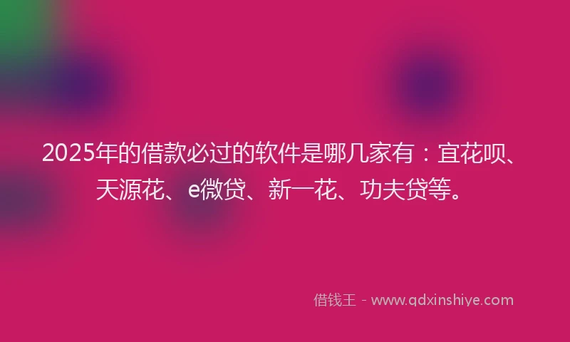 2025年的借款必过的软件是哪几家有：宜花呗、天源花、e微贷、新一花、功夫贷等。