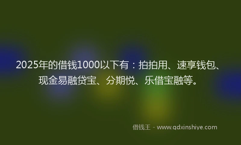 2025年的借钱1000以下有：拍拍用、速享钱包、现金易融贷宝、分期悦、乐借宝融等。