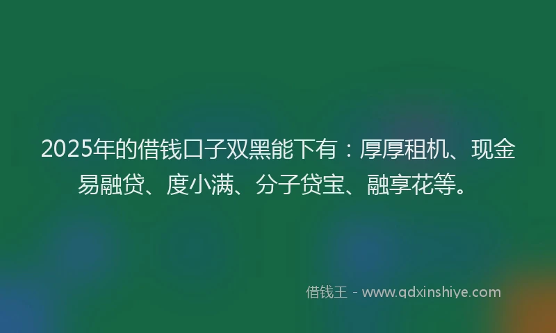 2025年的借钱口子双黑能下有：厚厚租机、现金易融贷、度小满、分子贷宝、融享花等。