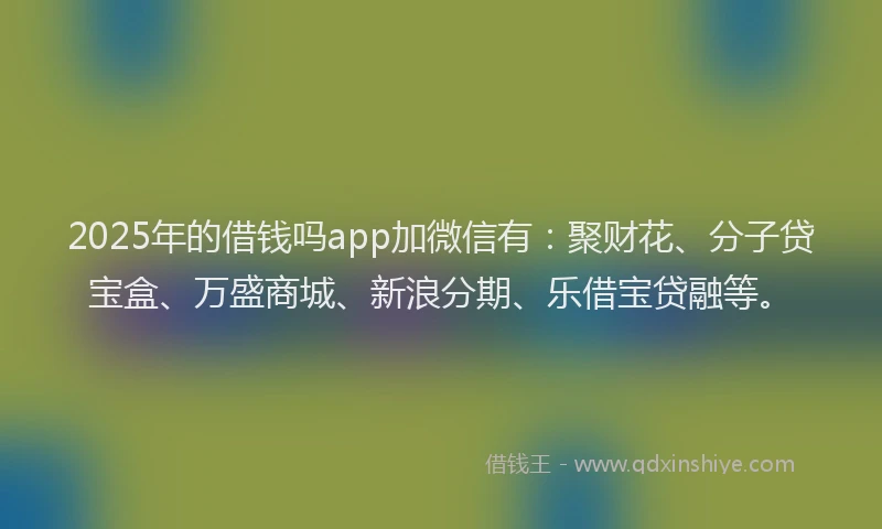 2025年的借钱吗app加微信有：聚财花、分子贷宝盒、万盛商城、新浪分期、乐借宝贷融等。