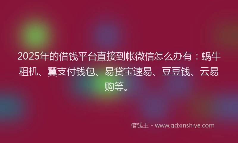 2025年的借钱平台直接到帐微信怎么办有：蜗牛租机、翼支付钱包、易贷宝速易、豆豆钱、云易购等。