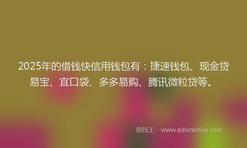 2025年的借钱快信用钱包有：捷速钱包、现金贷易宝、宜口袋、多多易购、腾讯微粒贷等。
