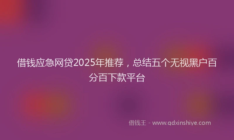 借钱应急网贷2025年推荐，总结五个无视黑户百分百下款平台
