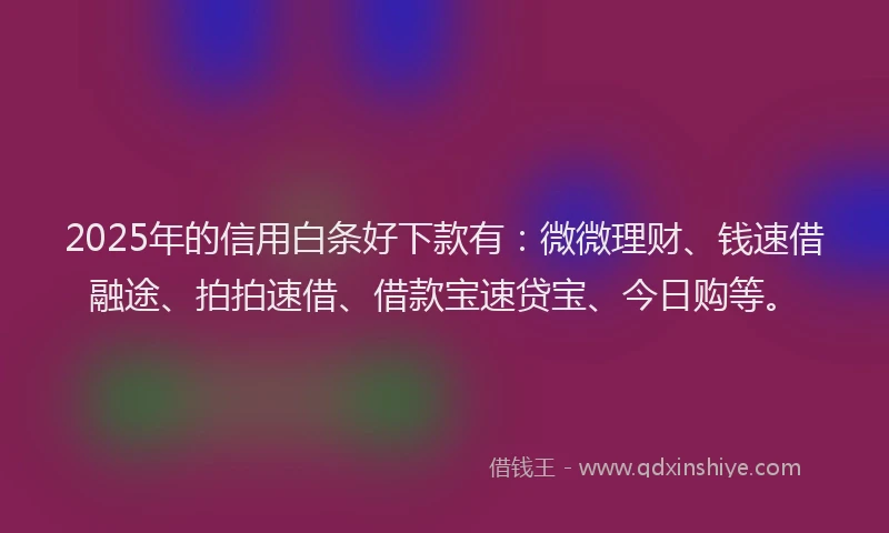 2025年的信用白条好下款有：微微理财、钱速借融途、拍拍速借、借款宝速贷宝、今日购等。