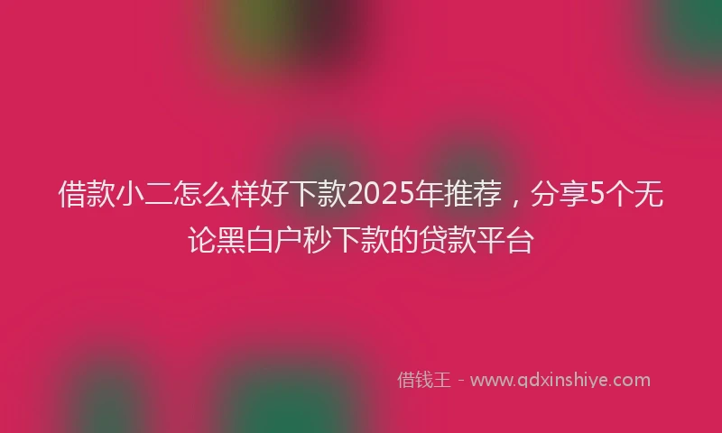 借款小二怎么样好下款2025年推荐，分享5个无论黑白户秒下款的贷款平台