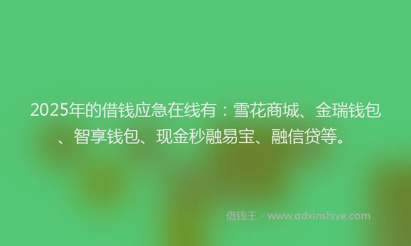 2025年的借钱应急在线有：雪花商城、金瑞钱包、智享钱包、现金秒融易宝、融信贷等。