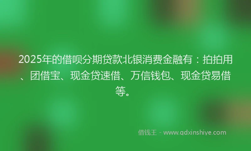 2025年的借呗分期贷款北银消费金融有：拍拍用、团借宝、现金贷速借、万信钱包、现金贷易借等。