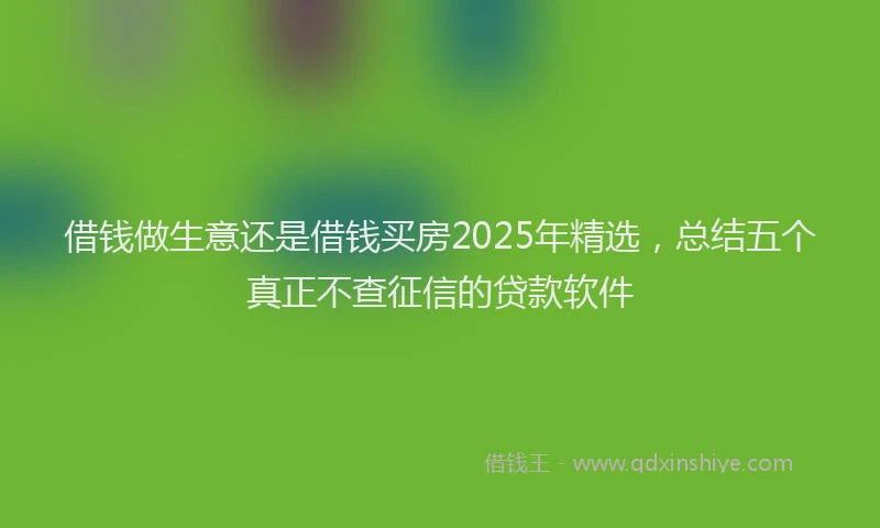 借钱做生意还是借钱买房2025年精选，总结五个真正不查征信的贷款软件
