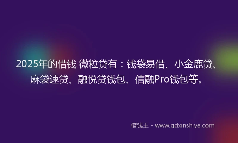 2025年的借钱 微粒贷有：钱袋易借、小金鹿贷、麻袋速贷、融悦贷钱包、信融Pro钱包等。