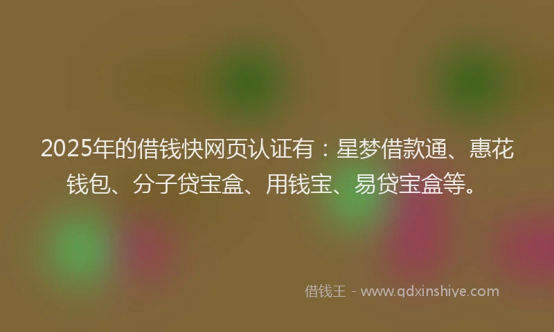2025年的借钱快网页认证有：星梦借款通、惠花钱包、分子贷宝盒、用钱宝、易贷宝盒等。