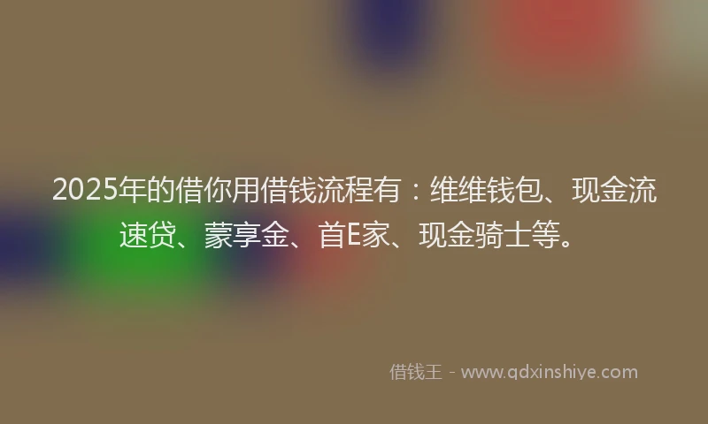2025年的借你用借钱流程有：维维钱包、现金流速贷、蒙享金、首E家、现金骑士等。