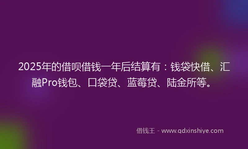 2025年的借呗借钱一年后结算有：钱袋快借、汇融Pro钱包、口袋贷、蓝莓贷、陆金所等。