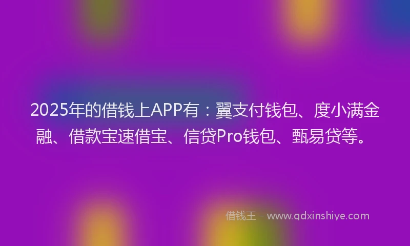 2025年的借钱上APP有：翼支付钱包、度小满金融、借款宝速借宝、信贷Pro钱包、甄易贷等。