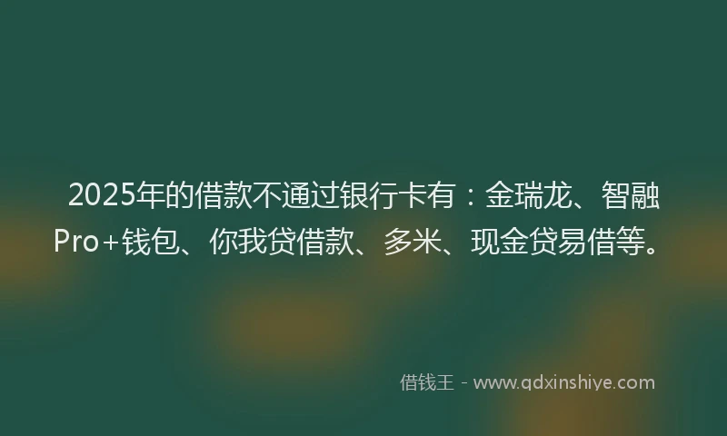 2025年的借款不通过银行卡有:金瑞龙、智融Pro+钱包、你我贷借款、多米、现金贷易借等。