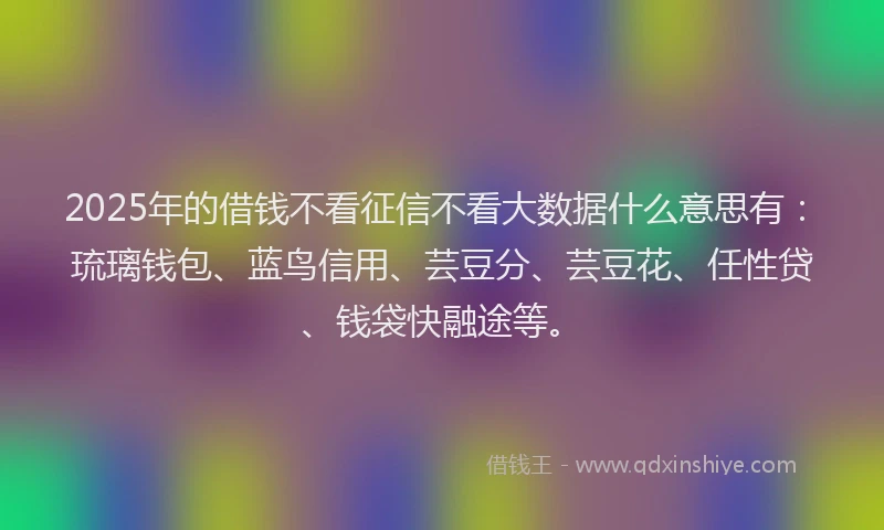 2025年的借钱不看征信不看大数据什么意思有：琉璃钱包、蓝鸟信用、芸豆分、芸豆花、任性贷、钱袋快融途等。