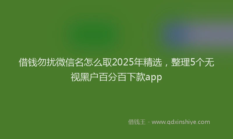 借钱勿扰微信名怎么取2025年精选，整理5个无视黑户百分百下款app