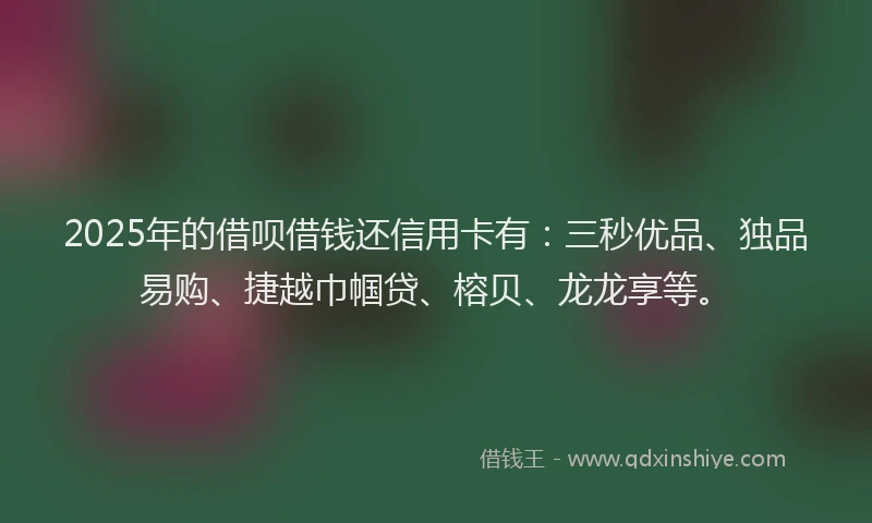 2025年的借呗借钱还信用卡有：三秒优品、独品易购、捷越巾帼贷、榕贝、龙龙享等。