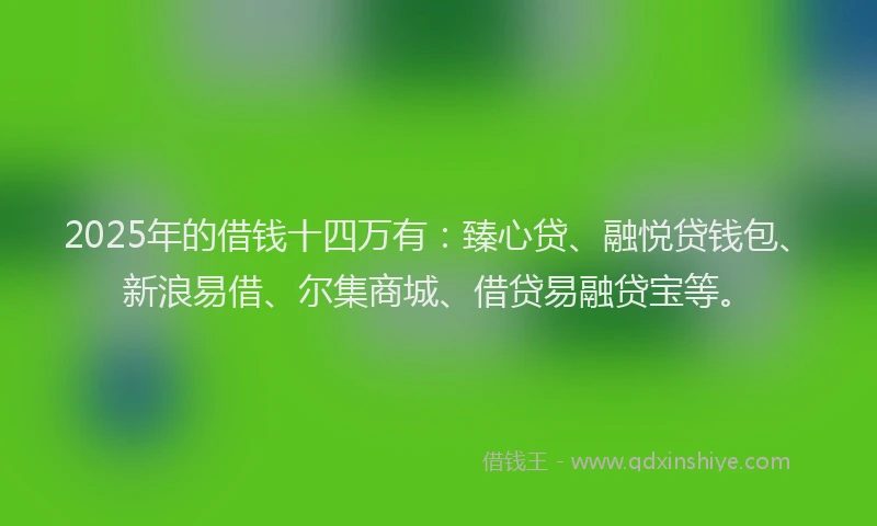 2025年的借钱十四万有：臻心贷、融悦贷钱包、新浪易借、尔集商城、借贷易融贷宝等。