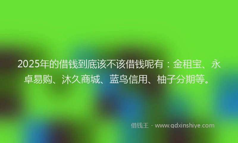 2025年的借钱到底该不该借钱呢有:金租宝、永卓易购、沐久商城、蓝鸟信用、柚子分期等。
