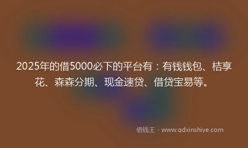 2025年的借5000必下的平台有：有钱钱包、桔享花、森森分期、现金速贷、借贷宝易等。