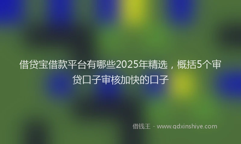 借贷宝借款平台有哪些2025年精选，概括5个审贷口子审核加快的口子