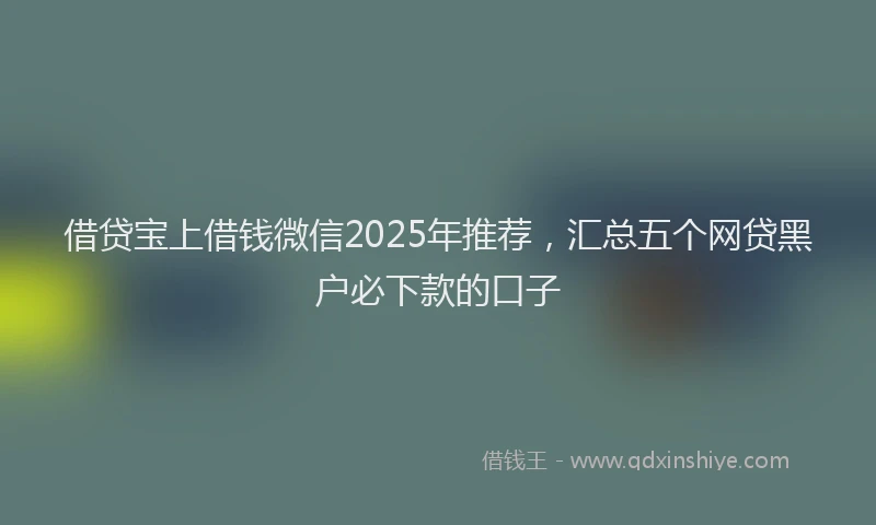 借贷宝上借钱微信2025年推荐，汇总五个网贷黑户必下款的口子
