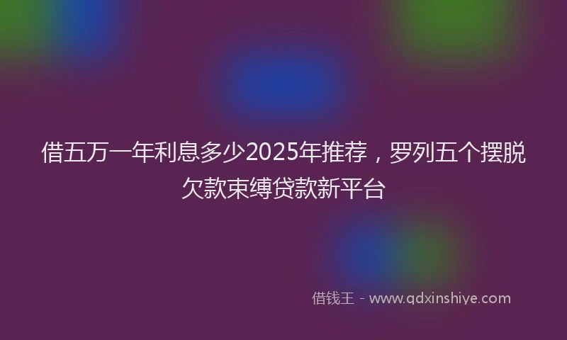 借五万一年利息多少2025年推荐，罗列五个摆脱欠款束缚贷款新平台