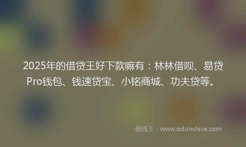 2025年的借贷王好下款嘛有：林林借呗、易贷Pro钱包、钱速贷宝、小铭商城、功夫贷等。