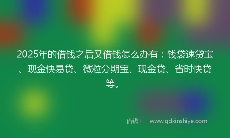 2025年的借钱之后又借钱怎么办有：钱袋速贷宝、现金快易贷、微粒分期宝、现金贷、省时快贷等。