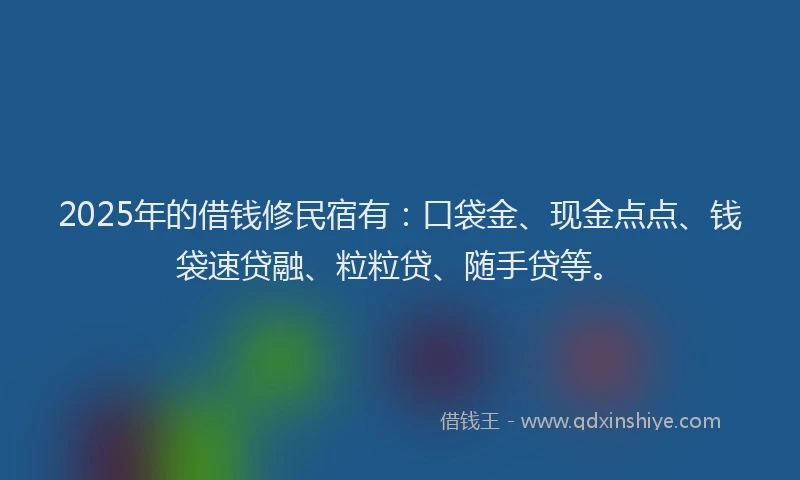 2025年的借钱修民宿有：口袋金、现金点点、钱袋速贷融、粒粒贷、随手贷等。