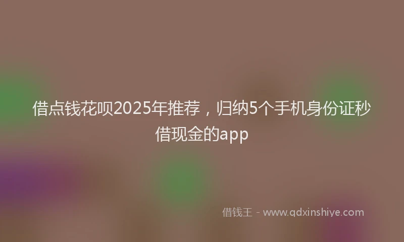 借点钱花呗2025年推荐，归纳5个手机身份证秒借现金的app