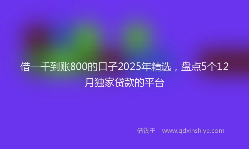借一千到账800的口子2025年精选，盘点5个12月独家贷款的平台