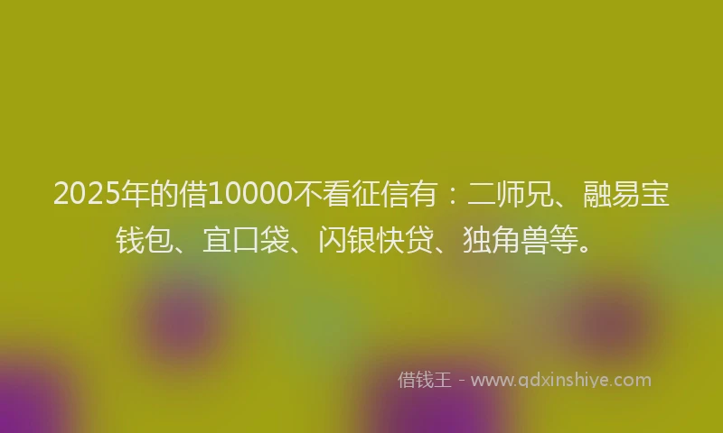2025年的借10000不看征信有：二师兄、融易宝钱包、宜口袋、闪银快贷、独角兽等。