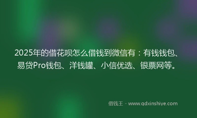 2025年的借花呗怎么借钱到微信有：有钱钱包、易贷Pro钱包、洋钱罐、小信优选、银票网等。