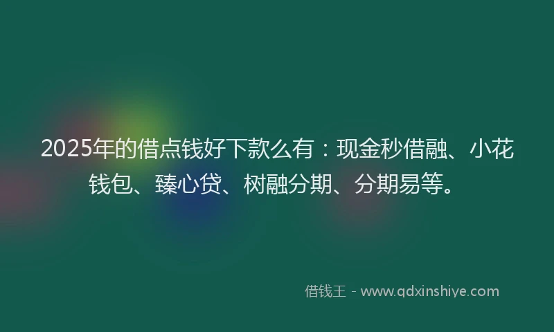 2025年的借点钱好下款么有：现金秒借融、小花钱包、臻心贷、树融分期、分期易等。