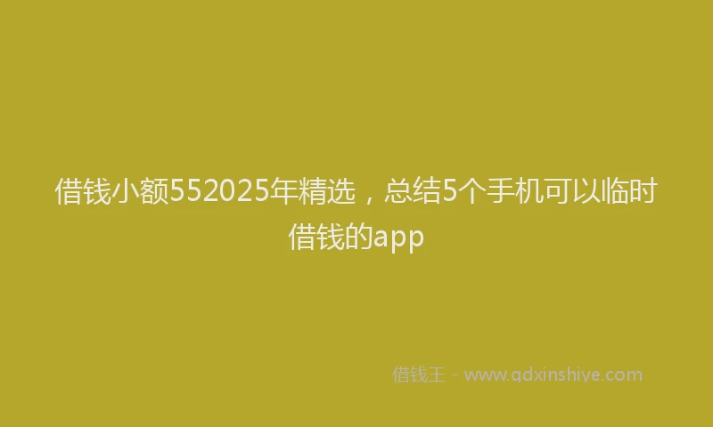 借钱小额552025年精选，总结5个手机可以临时借钱的app
