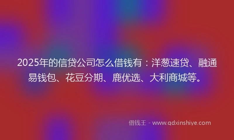 2025年的信贷公司怎么借钱有：洋葱速贷、融通易钱包、花豆分期、鹿优选、大利商城等。