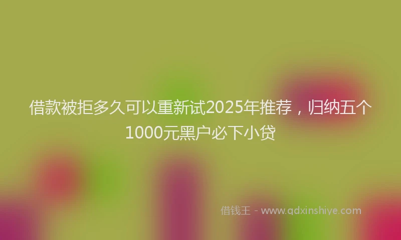借款被拒多久可以重新试2025年推荐，归纳五个1000元黑户必下小贷