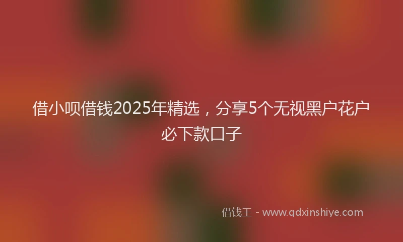 借小呗借钱2025年精选，分享5个无视黑户花户必下款口子