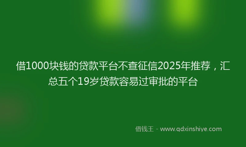 借1000块钱的贷款平台不查征信2025年推荐，汇总五个19岁贷款容易过审批的平台