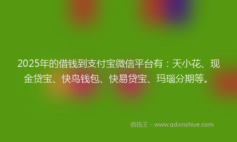 2025年的借钱到支付宝微信平台有：天小花、现金贷宝、快鸟钱包、快易贷宝、玛瑙分期等。