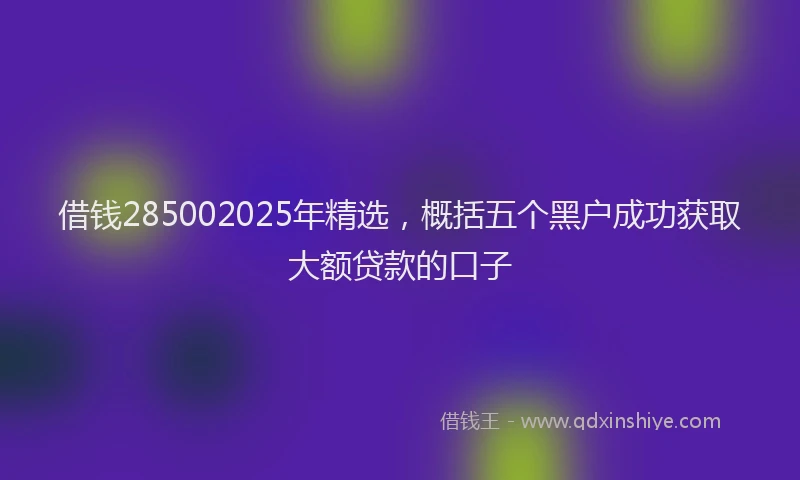 借钱285002025年精选，概括五个黑户成功获取大额贷款的口子