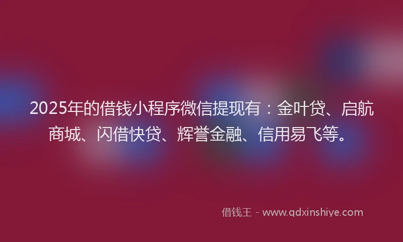 2025年的借钱小程序微信提现有：金叶贷、启航商城、闪借快贷、辉誉金融、信用易飞等。