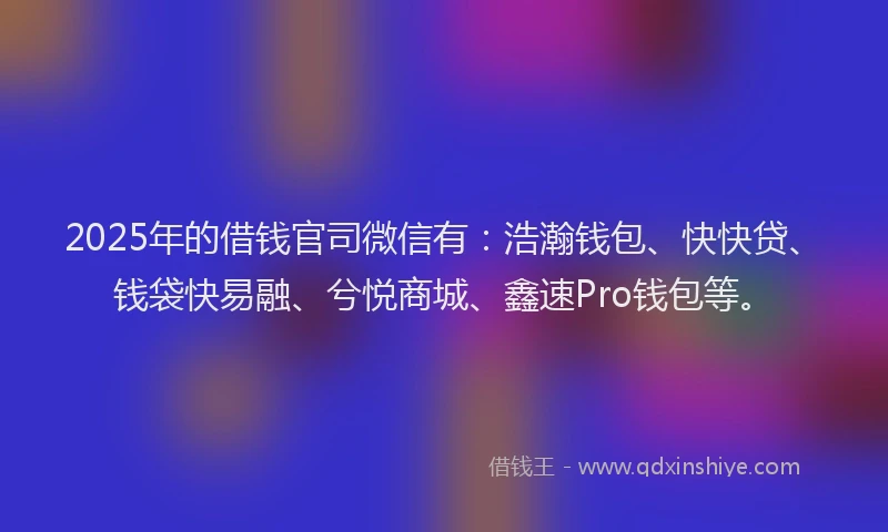 2025年的借钱官司微信有：浩瀚钱包、快快贷、钱袋快易融、兮悦商城、鑫速Pro钱包等。