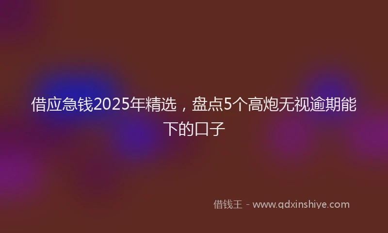 借应急钱2025年精选，盘点5个高炮无视逾期能下的口子