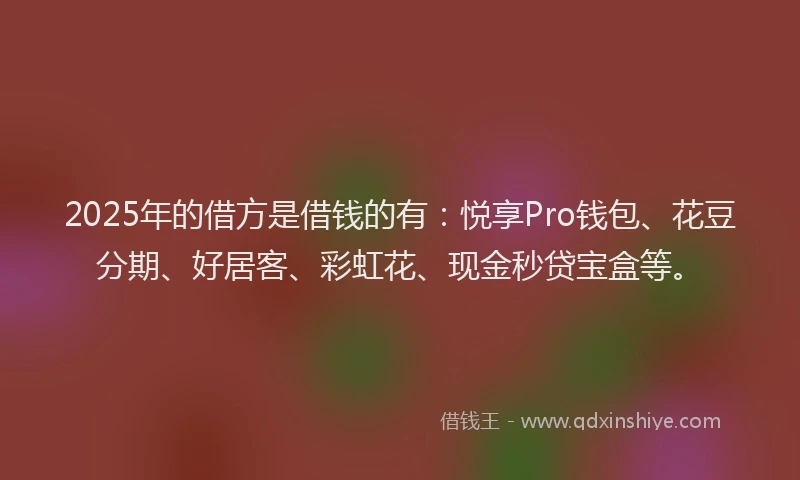 2025年的借方是借钱的有：悦享Pro钱包、花豆分期、好居客、彩虹花、现金秒贷宝盒等。